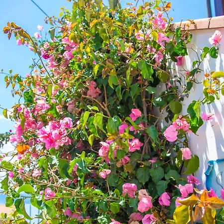 Casa Anahita, 4 Posti Letto *